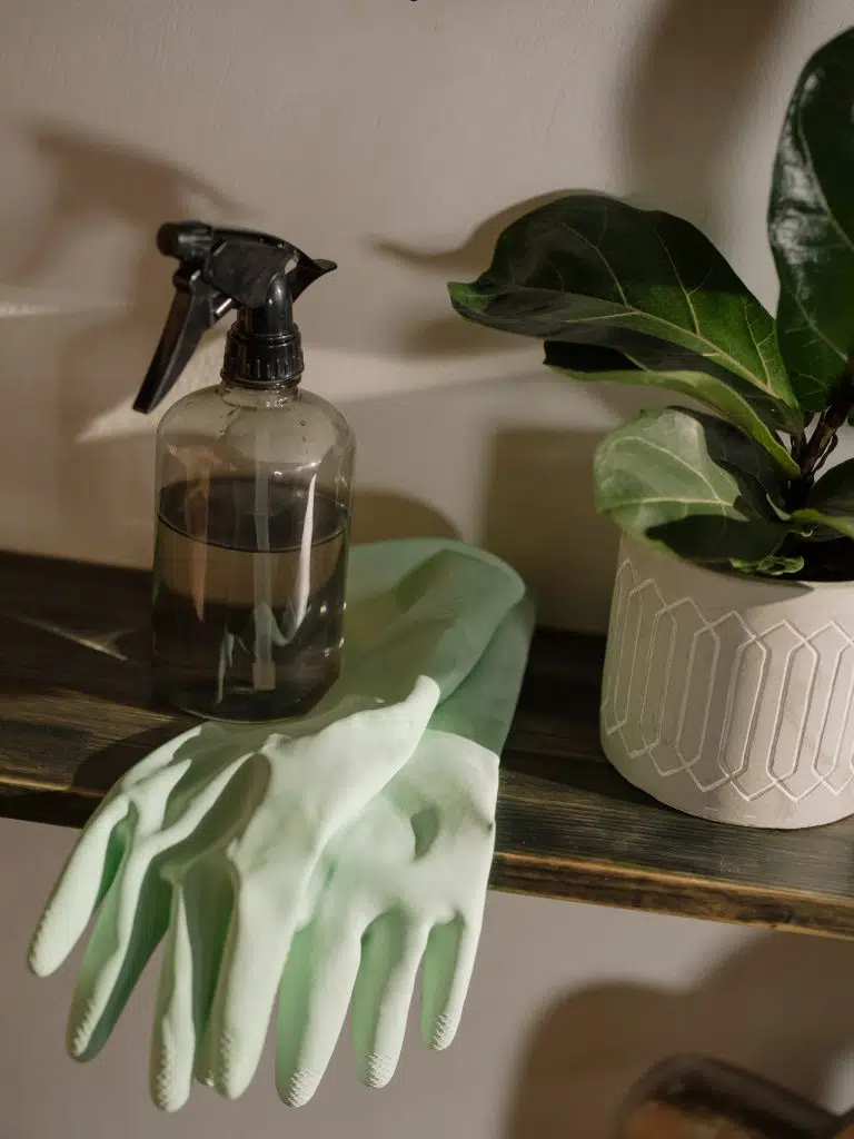 spray bottle 1