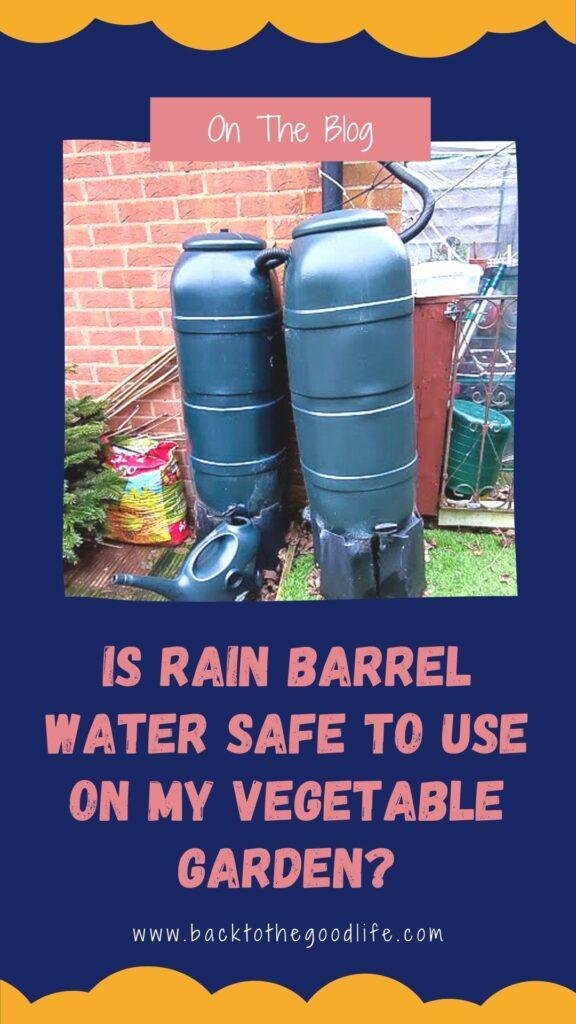 Is Rain Barrel Water Safe To Use On My Vegetable Garden? | Back The The Good Life