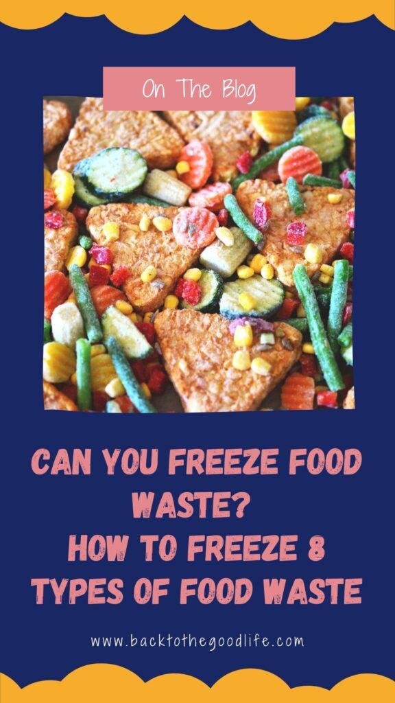 can you freeze leftovers pinterest