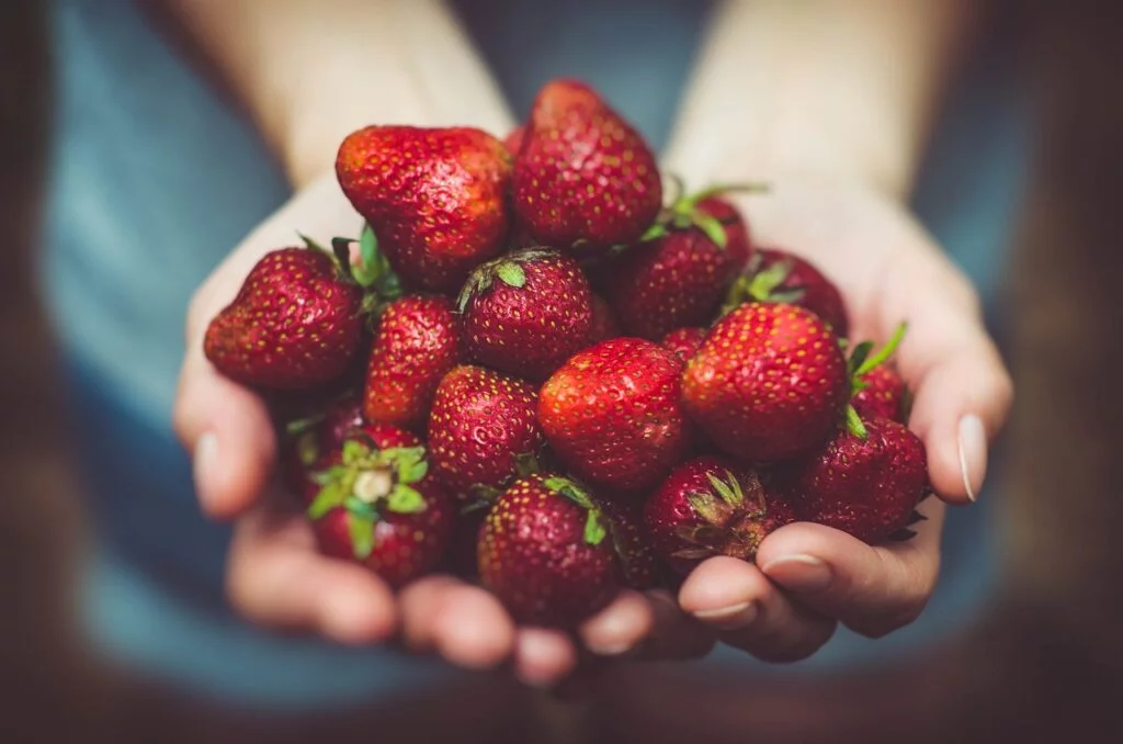 strawberries 1