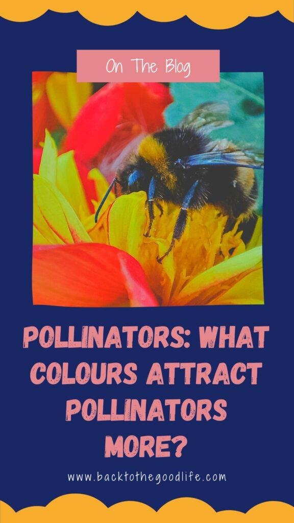 Pollinators What Colours Attract Pollinators More