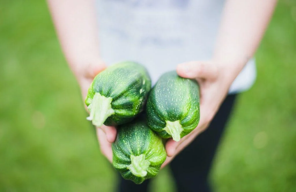courgettes 1