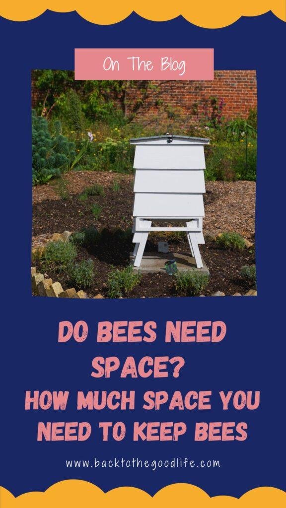 how much space to bees need Pinterest