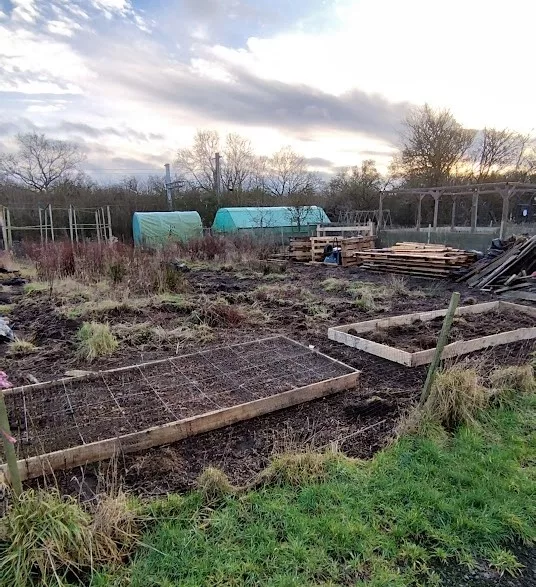 allotment jpg