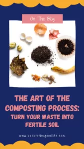 The Art of The Composting Process pinterest