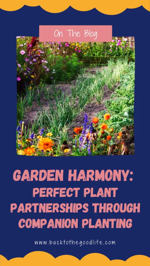 companion planting pinterest