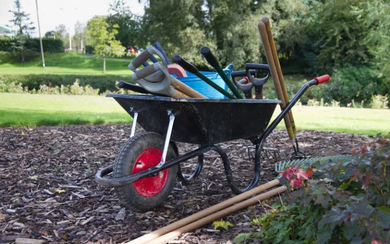 Green Thumb Magic: 9 Essential Gardening Tools Every Gardener Needs for a Sustainable Garden