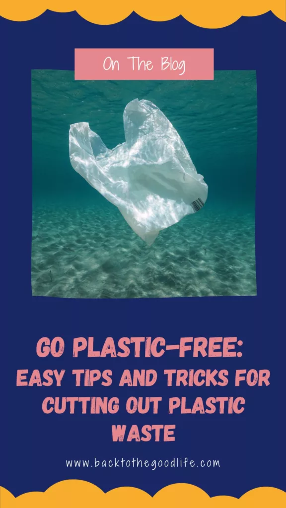 Go Plastic Free Pinterest