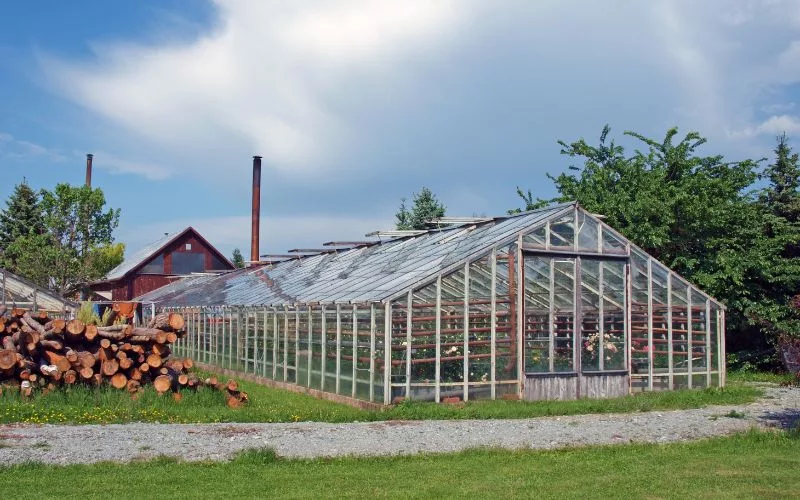 glass greenhouse 2 jpg