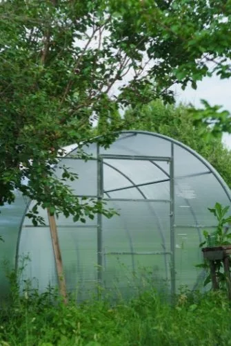 polycarbonate greenhouse 2 jpg