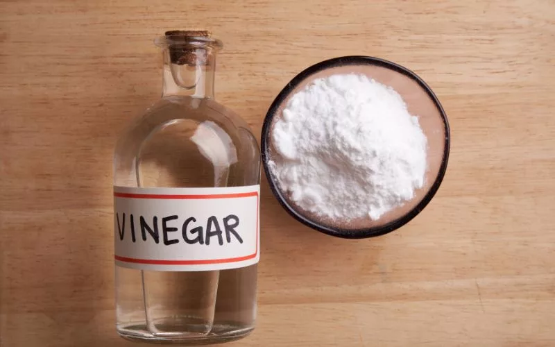 vinegar 1 jpg