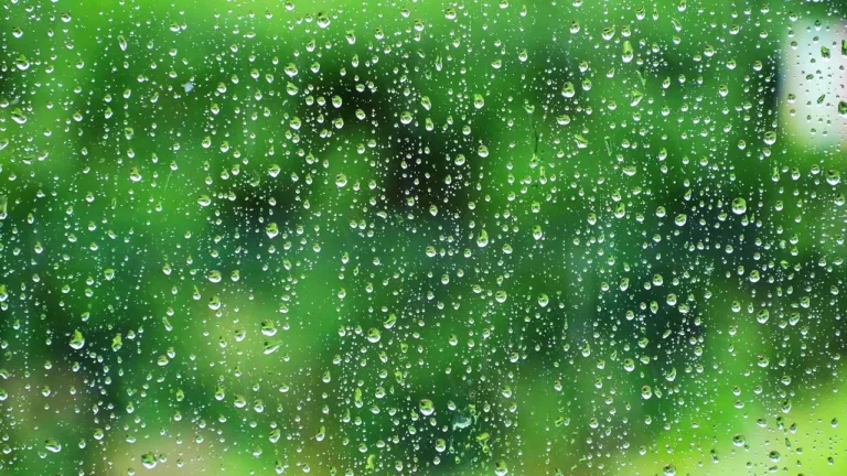 Harnessing the Power of the Skies: A Quick Guide to Harvesting Rainwater